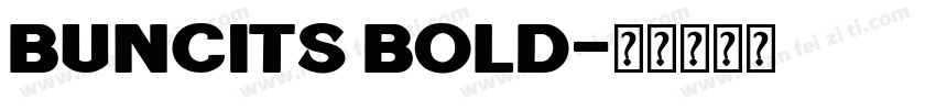 Buncits Bold字体转换